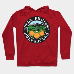 Orange County Armenian * Օրէնճ Քաունթի Hoodie